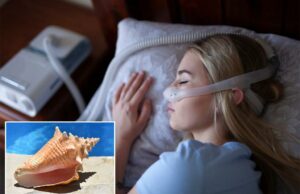 Este antigo truque do mar indiano pode ajudar na apneia do sono – e reduzir o ronco Este antigo truque do mar indiano pode ajudar na apneia do sono - e reduzir o ronco