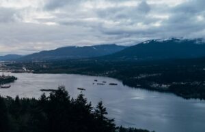 Estudo encontra os efeitos da colonização que quase 90% dos ecossistemas de alimentos de Burrard Inlet destruíram Estudo encontra os efeitos da colonização que quase 90% dos ecossistemas de alimentos de Burrard Inlet destruíram