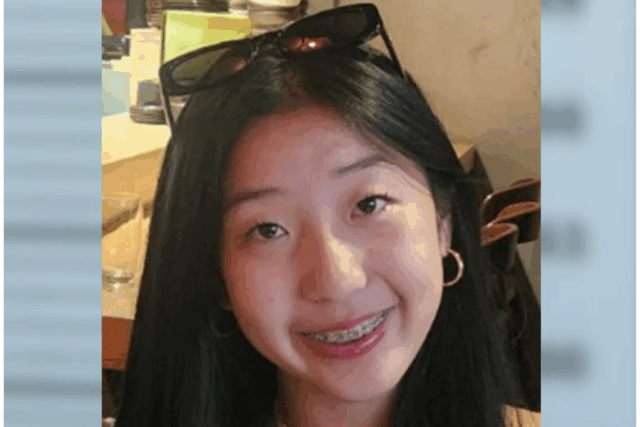 Falta de uma adolescente encontrada viva 2 semanas após encontrar o contato em linha

