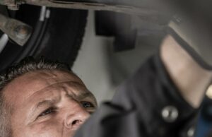 Famosa por ser suave e quente, Merino pode manter situações difíceis Perri Polônia