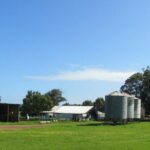 Fazenda Gadara mista fora de Dongara Uma alegria para o mercado