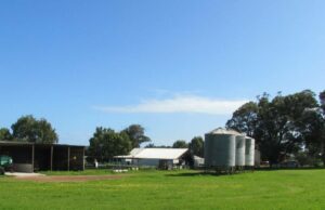 Fazenda Gadara mista fora de Dongara Uma alegria para o mercado Fazenda Gadara mista fora de Dongara Uma alegria para o mercado