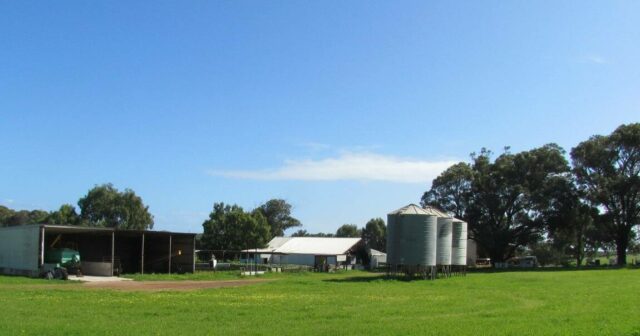 Fazenda Gadara mista fora de Dongara Uma alegria para o mercado

