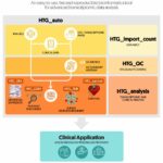 A ICE Global desenvolve um palete bioinformático para aumentar a análise de dados omics em medicina de precisão