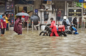 Forest Forest resolveu através do SDRF e da equipe florestal Forest Forest resolveu através do SDRF e da equipe florestal