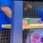 Francisco Lindor bateu repetidamente a luva em um esconderijo depois de cometer um erro caro no segundo turno, o que levou a duas milhas de Milwaukee ao perder o Mets 7-4 com cervejeiros em 9 de agosto de 2025.