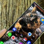 Uma sombra de cebola 7 -SAID que funciona no Samsung Galaxy S24 Ultra