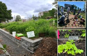 “Garden of Hate” da rainha, levando o caso em um tribunal federal, rasga o juiz e “Scurliious” NY Post Relage "Garden of Hate" da rainha, levando o caso em um tribunal federal, rasga o juiz e "Scurliious" NY Post Relage