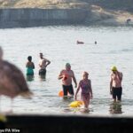 Swimmar vai para Cullercoats Bay, no norte de Tyneside, para um mergulho no mar na terça -feira, 12 de agosto