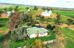 Grandes solos abundam na confiável zona de precipitação média ao norte do miling Grandes solos abundam na confiável zona de precipitação média ao norte do miling