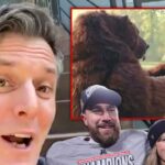 Brandon Alan Smith Taylor Travis Main Getls Netflix Composite 2