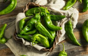 Hatch Chile Season: Bay Area As Lojas assados para clientes Hatch Chile Season: Bay Area As Lojas assados para clientes