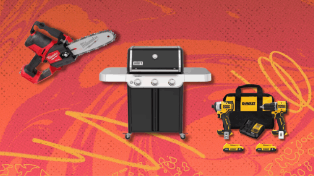 Weber Genesis E-315 Grill