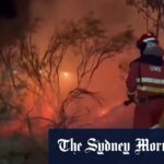Incêndios florestais continuam a raiva no sul da Europa entre ondas de calor