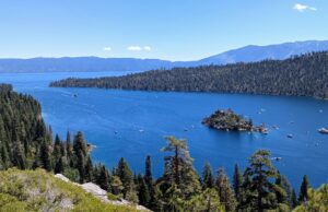 Indo para Tahoe? Aproveite esses destinos culinários a caminho Um sanduíche de Salami Gênova é fotografado no sanduíche artesanal de Lucia em Crockett, Califórnia, no domingo, 15 de junho de 2025. (Jose Carlos Fajardo/Bay Area News Group)