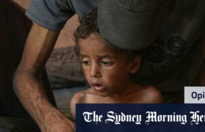 Israel deve abrir os olhos, os perdedores do Hamas não precisam de fome, eu pereço uma criança O comando de Benjamin Netanyahu tentou ser paciente de Israel dos parceiros em todo o mundo.