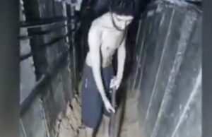 Israel faz com que o New York Times publique uma foto dos reféns da fome Israel faz com que o New York Times publique uma foto dos reféns da fome