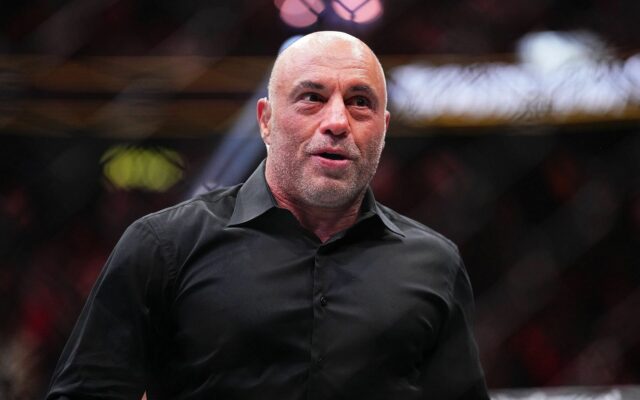 Joe Rogan explica por que Jiu-Jitsu tende a retirar as "pessoas mais bonitas": "você deve ter o personagem"

