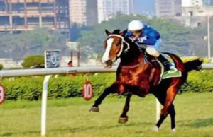 King’s for Feeil Event King's for Feeil Event