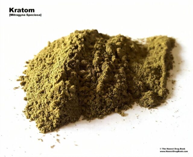 Kratom está sendo examinado pelos estados e pelo governo federal



