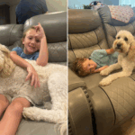 Lágrimas como uma criança de verdade, 6, se reúnem com o cachorro da família para apoiá -lo