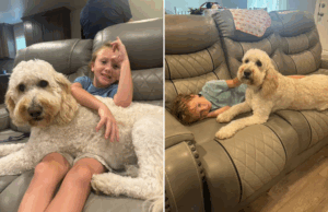 Lágrimas como uma criança de verdade, 6, se reúnem com o cachorro da família para apoiá -lo Lágrimas como uma criança de verdade, 6, se reúnem com o cachorro da família para apoiá -lo