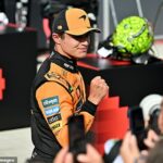 Lando Norris vence o Grande Prêmio Húngaro e o Gap de Larrot no título da McLaren, rival Oscar Piastri para apenas nove pontos antes das férias de verão