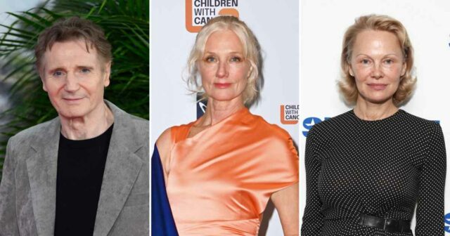 GetTyimages-2227458149 Liam Neeson Irmã, Joly Richardson, apoia Pamela Anderson Relationship.jpg