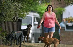 Lucy Connolly tem sido Andando pelos cães ao sol da noite, aqui estão as primeiras fotos de Lucy Connolly após sua libertação da prisão