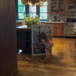 Lilibet, quatro, pode ser visto examinando um novo retrato do amado cachorro da família, que faleceu no início deste ano, na mansão Montecito de Sussexes em um clipe compartilhado nas histórias do Instagram de Meghan hoje