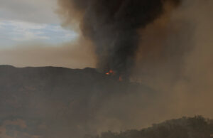 Milhares disseram para parar o incenso grelhado e queimado Milhares disseram para parar o incenso grelhado e queimado