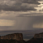 MoCare atinge hits do Arizona