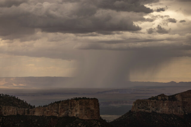 MoCare atinge hits do Arizona

