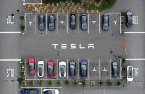 Mobilidade TechCrunch: as ameaças de Elon Musk funcionaram pisca de pássaro gato verde