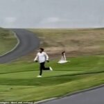 Um jogador de golfe foi perseguido no tipo errado de passarinho depois de uma gaivota de bombardear a carteira em Pebble Beach Golf Links, Califórnia e desligada com isso