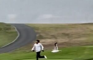 Moment DiveBombing Seagull Sates Golfer’s Cartet antes de desligar com ela Um jogador de golfe foi perseguido no tipo errado de passarinho depois de uma gaivota de bombardear a carteira em Pebble Beach Golf Links, Califórnia e desligada com isso