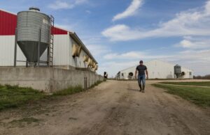 Nebraska está recebendo isso votado para O deputado Don Bacon, R-Neb., Ameaças no Comitê na Audência da Cadeira de Serviços Armados no Departamento do Exército Fiscal 2026 Londres: quarta-feira em Washington. (Foto / Jacquelyn Martin)
