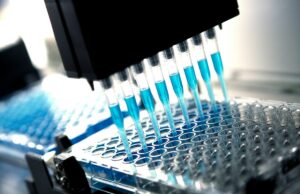 O Alphabet está mudando mais recursos para a IA, pois a verdadeira fecha seu programa de dispositivos médicos O Alphabet está mudando mais recursos para a IA, pois a verdadeira fecha seu programa de dispositivos médicos