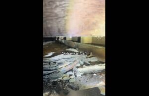 O choque do que os proprietários encontram quando derrubam paredes em uma casa de 1800 O choque do que os proprietários encontram quando derrubam paredes em uma casa de 1800