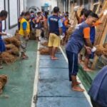 O coco líquido dos moradores promovido pelo mercado internacional de Lapas Ciamis Rambah, exportado para a Coréia do Sul e o Japão