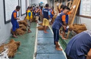 O coco líquido dos moradores promovido pelo mercado internacional de Lapas Ciamis Rambah, exportado para a Coréia do Sul e o Japão O coco líquido dos moradores promovido pelo mercado internacional de Lapas Ciamis Rambah, exportado para a Coréia do Sul e o Japão