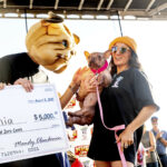 'O concurso de cães mais authlest do vencedor do norte