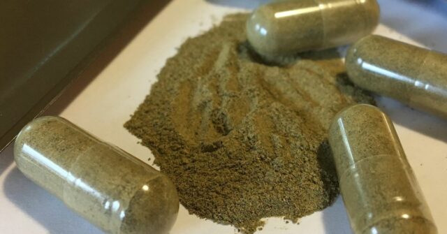 Um saco de Kratom, um medicamento à base de plantas.
