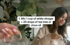 O especialista em limpeza compartilha o produto doméstico barato que pode eliminar instantaneamente o molde da sua máquina de lavar Chantel Mila (foto) sugeriu usar uma mistura de vinagre branco e óleos essenciais para se livrar do mofo em uma máquina de lavar