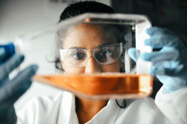 O estudo revela molecular 