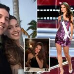 O ex -jogador da Miss Universo Kseeniya Alexandrova, 30 anos, morto em um caso estranho com a participação de alces: "Tudo estava coberto de sangue"