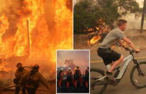 O fogo selvagem do sul da Califórnia cresce de 50 acres para mais de 1000 acres em apenas algumas horas O fogo selvagem do sul da Califórnia cresce de 50 acres para mais de 1000 acres em apenas algumas horas