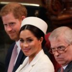 O historiador não retorna à ameaça legal do príncipe Harry, mas faz a principal mudança