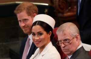 O historiador não retorna à ameaça legal do príncipe Harry, mas faz a principal mudança O historiador não retorna à ameaça legal do príncipe Harry, mas faz a principal mudança