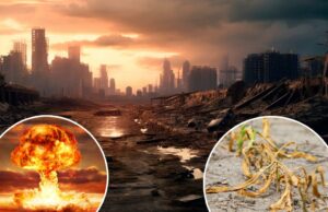 O inverno nuclear traria fome em massa e morte para os anos pós -guerra, um novo estudo surpreendente revela: “Devemos estar preparados” O inverno nuclear traria fome em massa e morte para os anos pós -guerra, um novo estudo surpreendente revela: "Devemos estar preparados"